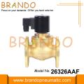 1&#39;&#39; DN25 Flanşlı Pirinç Buhar Solenoid Valfı 220VAC