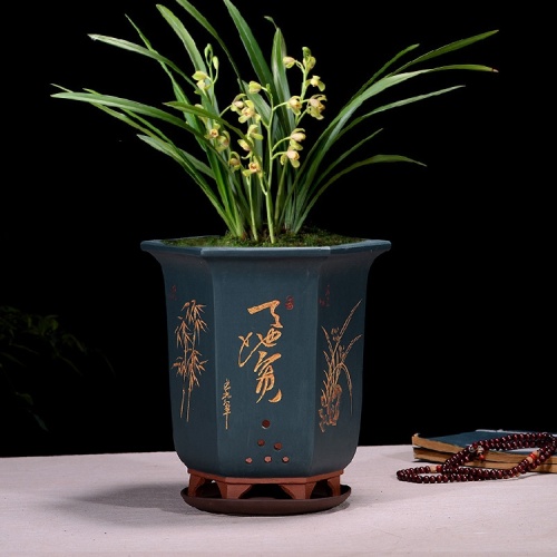 Potenciômetro pintado à mão da planta da orquídea da orquídea da flor roxa da areia