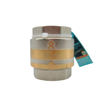 Brass Spring Check Valve