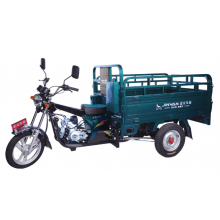 Original Factory Motorized Cargo Tricycle 3 Wheel Petrol Tricycle