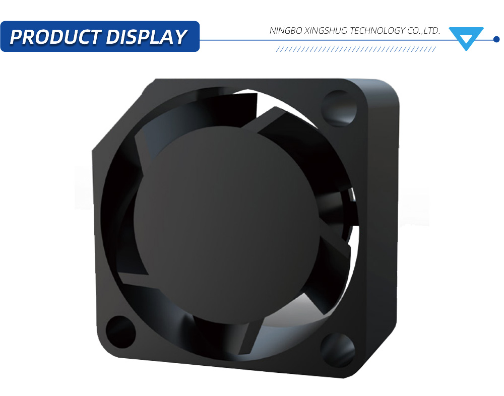 2010-เอ็กซ์ 2010-X