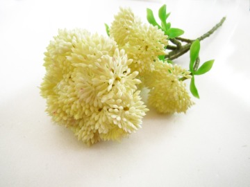 Evergreen fresh color artificial succulent plants