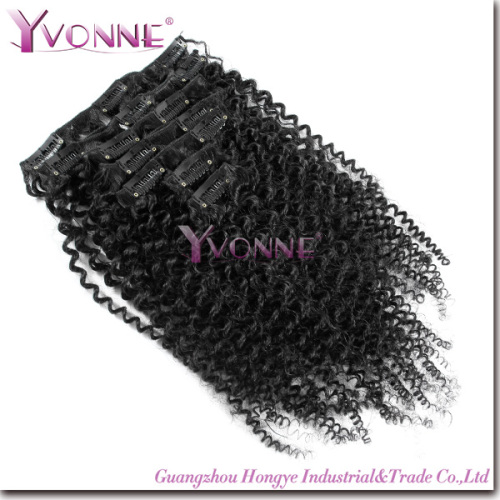 100% Brazilian Remy Human Hair Clip in Hair Extension