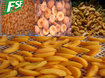 Frozen Apricots Cubes