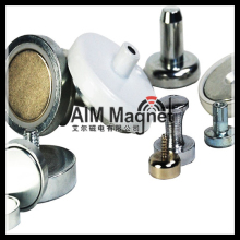 Display Stand Custom Ni Plating Neodymium Magnet