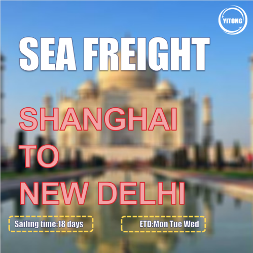 Ocean Freight From Shanghai To New Delhi