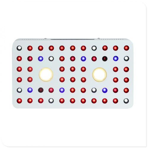 Full Spectrum COB LED Grow Light Hydroponic