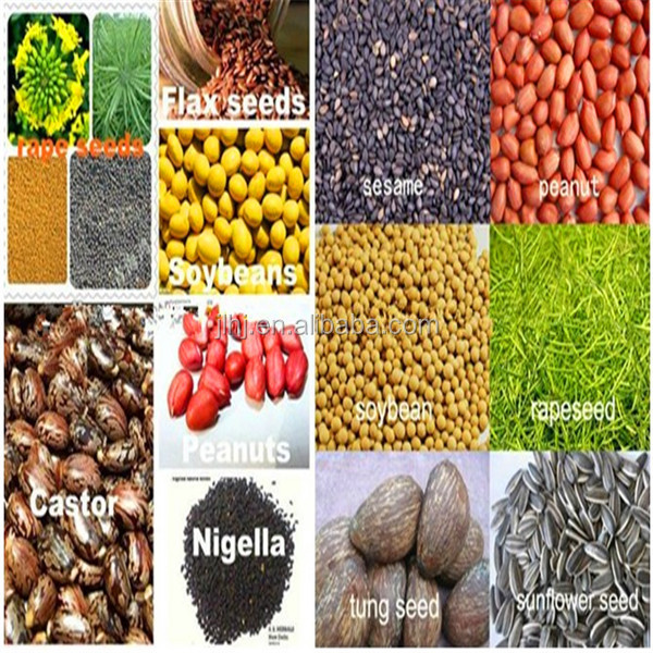 Cold and Hot Oil Extrusion Machine Automatic Screw Peanut Soybean Sesame Sunflower Oil Press Machine