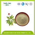 20% ginsenoside ginseng extract