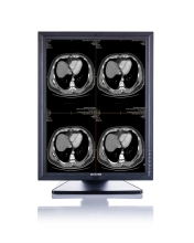 (JUSHA-M23C) 2m LED Monochrome Pacs Monitor