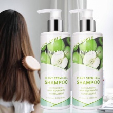 Professional Private Label Nourishing Smoothing Regrowth Plant Stem Cell Shampoo