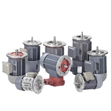 ABB Siemens Weg Electric Motor 230/380 AC Voltage with CE Certification