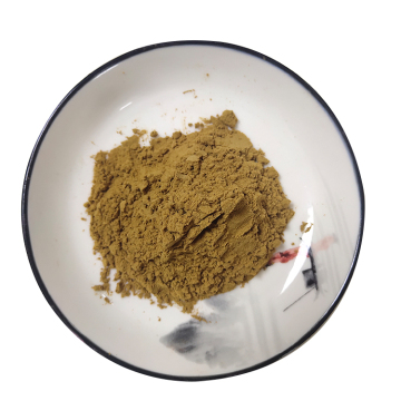 Best price fine powder mesembrianthemum extract fig mrigold extract powder