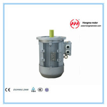 Three Multispeed Asynchronous Indution Motor