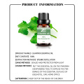 Hot Selling Cilantro Essential Oil Coriander Leaf for Aroma