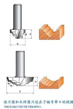 Classical Mounlding Bit Without Bearing