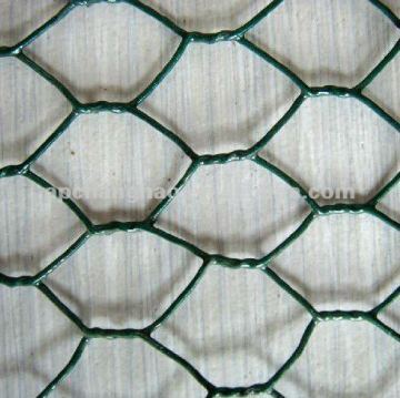 bird cage mesh