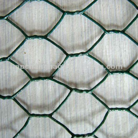 bird cage mesh