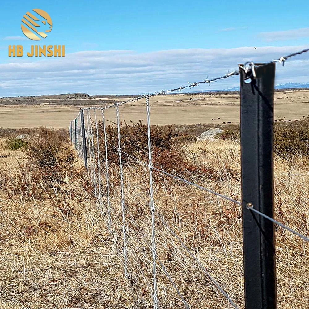 Farm Fence Used Bitumen Coated Steel Y Fence Post Star Picket