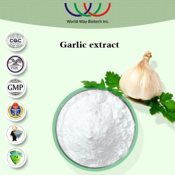 100%Nature garlic extract /garlic powder /100:1 test by TLC