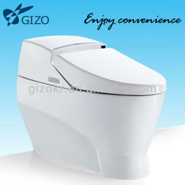 Bathroom Ceramic Intelligent Toilet For The Elderly