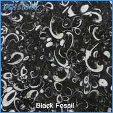 Fossil schwarz granit platten