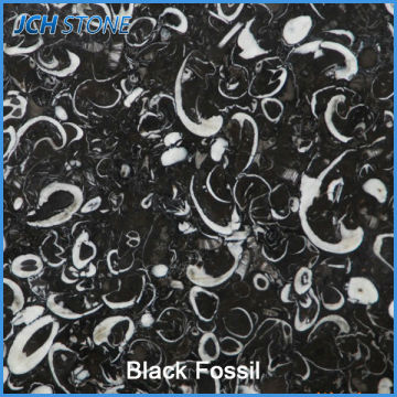 Fossil schwarz granit platten