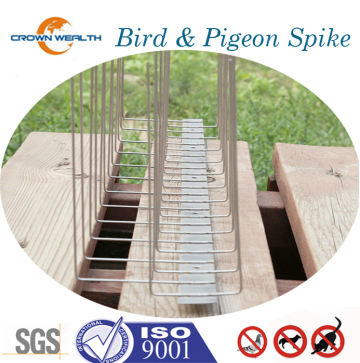 Pigeon Control Products & Services