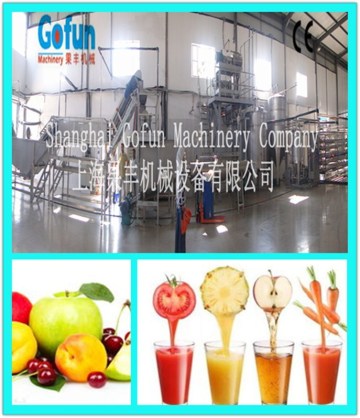 The professional supplier for commercial natural fruit juice production line made in China