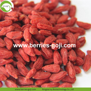 Dieta dimagrante Frutta Premium Bacche di Goji tradizionali