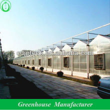 tube frame polycarbonate greenhouse