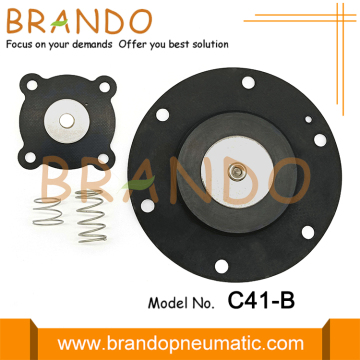 C41 Diaphragm Valves 1.5'' Diaphragm repair kit