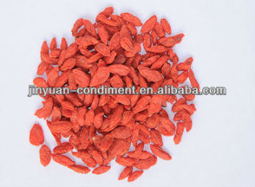 Grade A ningxia barbary wolfberry fruit