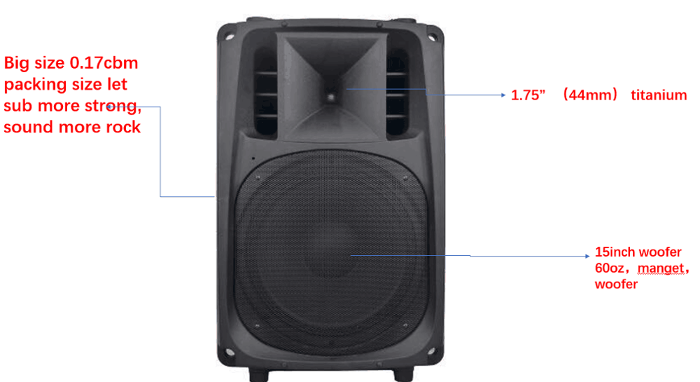 Disco\Bar\Club Use 15inch portable with DSP controller