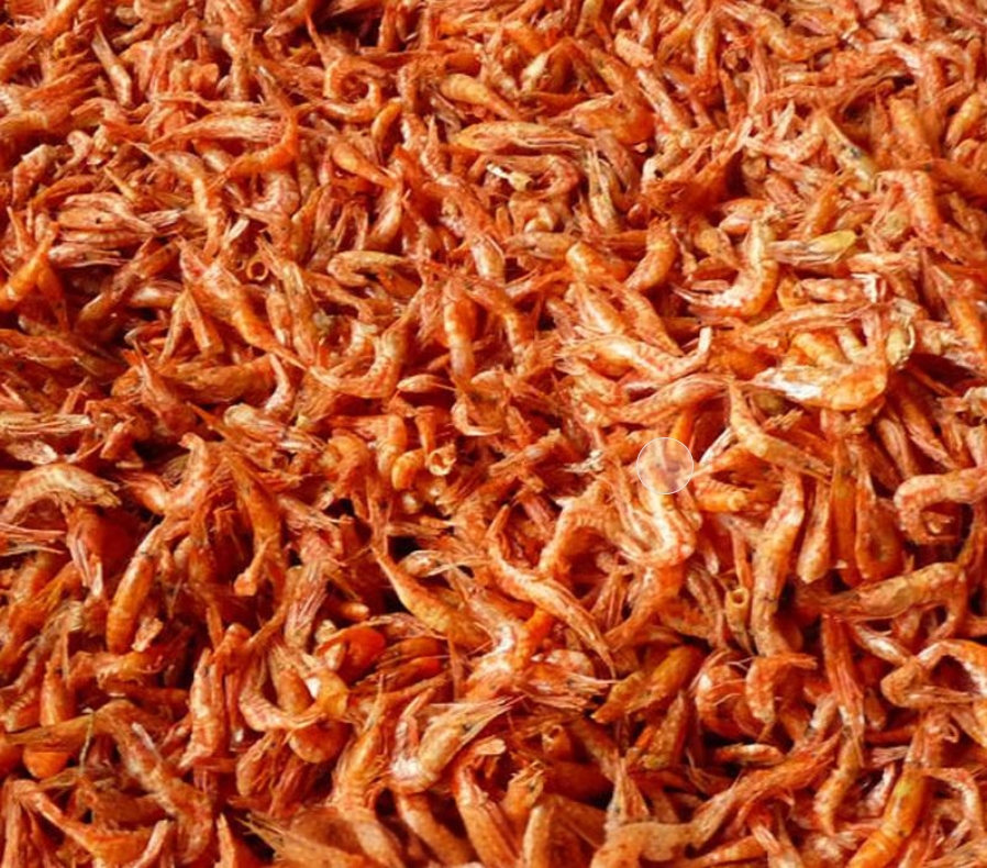 _20250106111840 _20250106111840