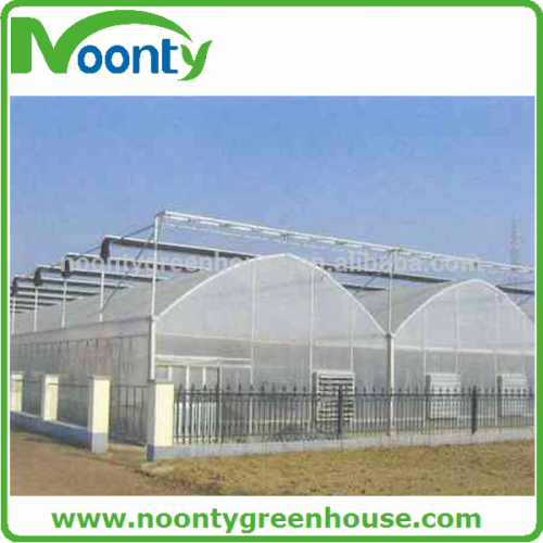 Hot-dip galvanized steel structure greenhouses with hydroponic grow systems