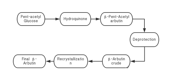 Flow Chart of Beta-Arbutin