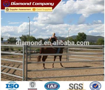 Rail horse fence powder coated/horse fence panels/used horse corral panels