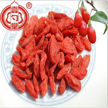 Bulk Goji Berries Dried Fruit Ningxia Goji Fruit