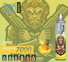 Wholesale Price RandM Tornado 7000 Vape Netherland