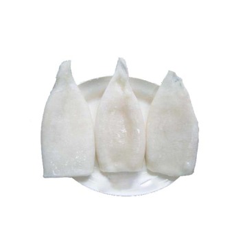 Newly Arrived Frozen Squid Tubes Semi-processed