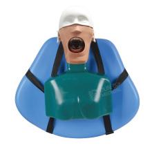Dentist Educational Simulation Models Dental Phantom Head