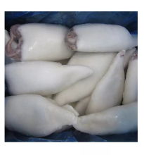 High Quality Frozen Squid For Sale Frozen-giant-squid-fillets Fresh
