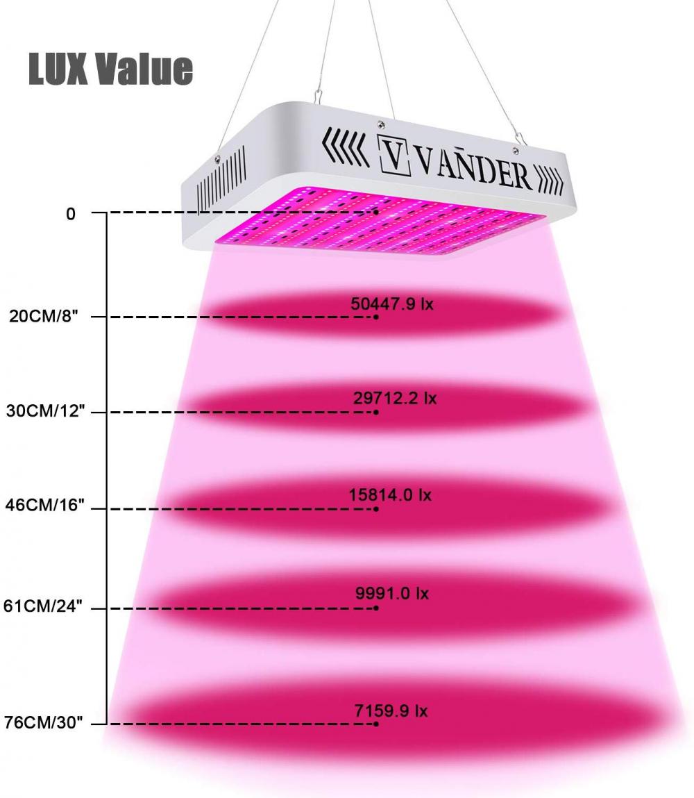 The 2000W LED Grow Light