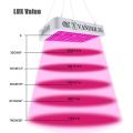 2000W LED Grow Light