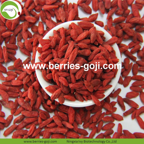 Free Sample Hot Sale Dried Tibetan Goji Berries