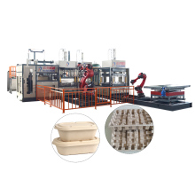 Paper Lunch Boxes and Disposable Tableware Production Line Machinery