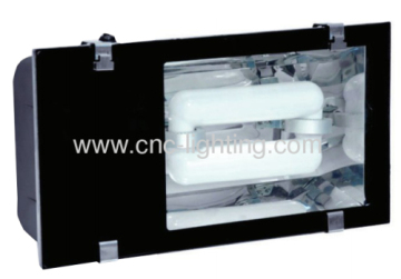 80-250w Tunnel Fixture With Induction Lamp 