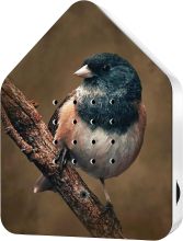 Nature bird sound device white noise sound box