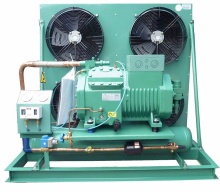 Germany Air Cooled Compressor Condensing Unit 3hp 5hp 6hp 10hp for Cooling System Refrigeration